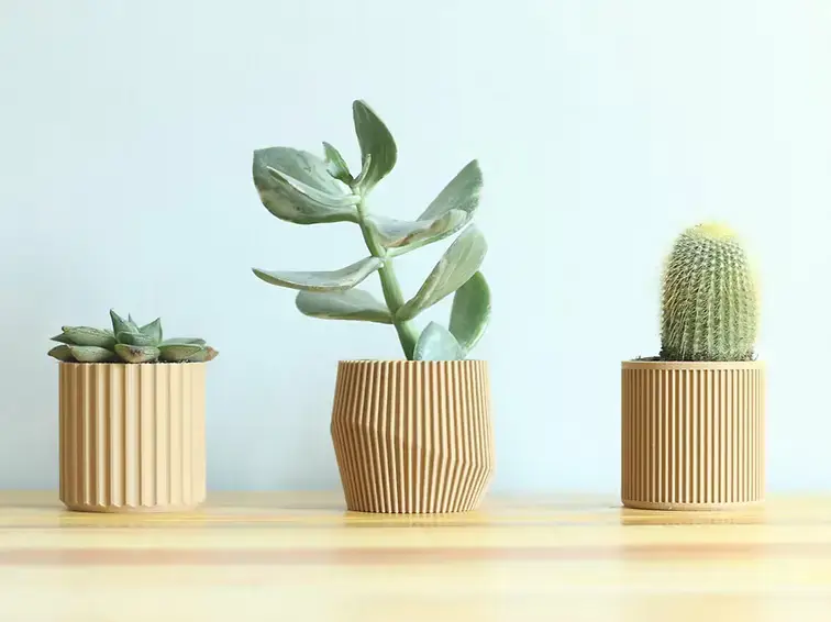 3D Printing 101: A Beginner’s Ultimate Guide